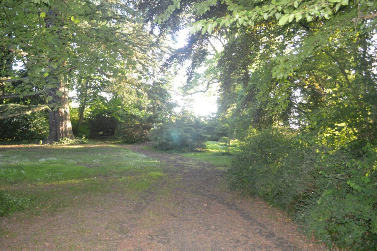 La Gentilhommiere Du Chateau De Ragnies Bagian luar foto